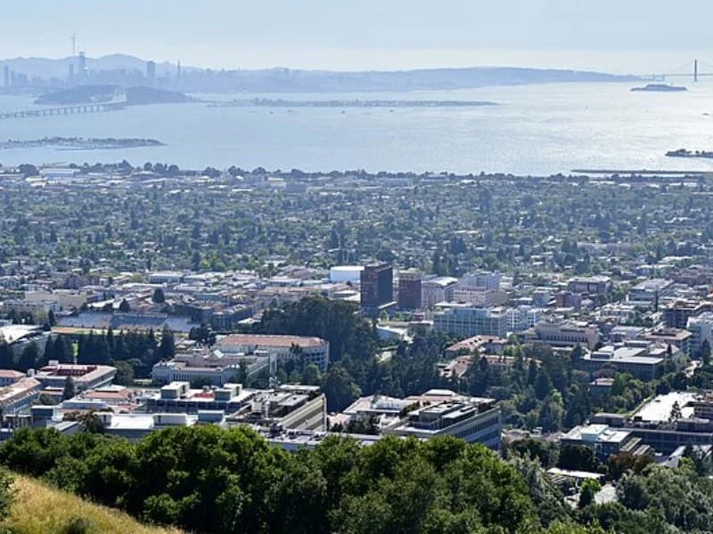 Why homeowners choose window replacement in Berkeley