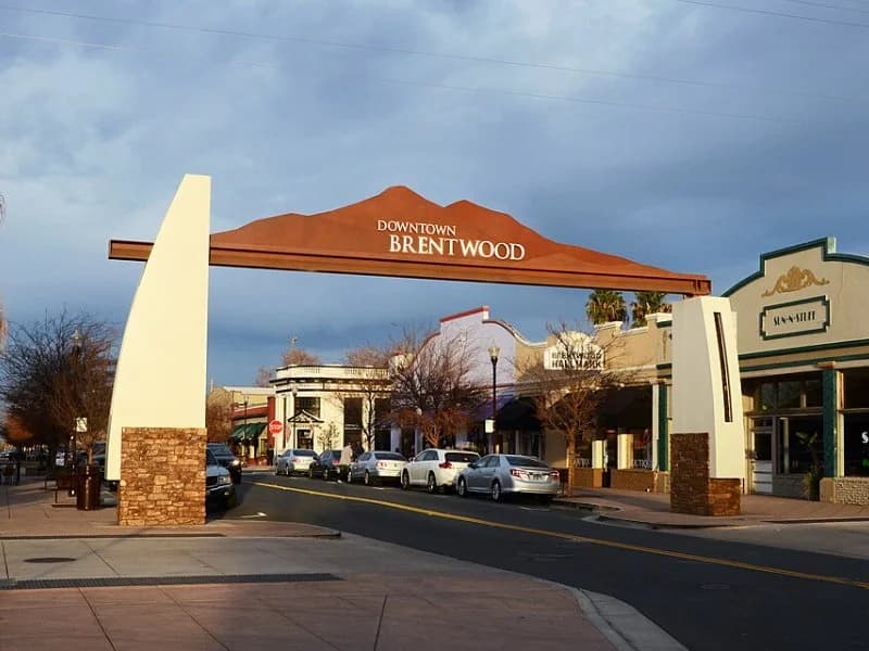Why homeowners choose window replacement in Brentwood
