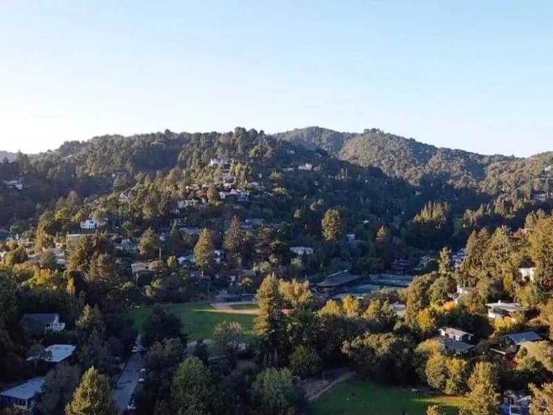 Why homeowners choose window replacement in Mill Valley