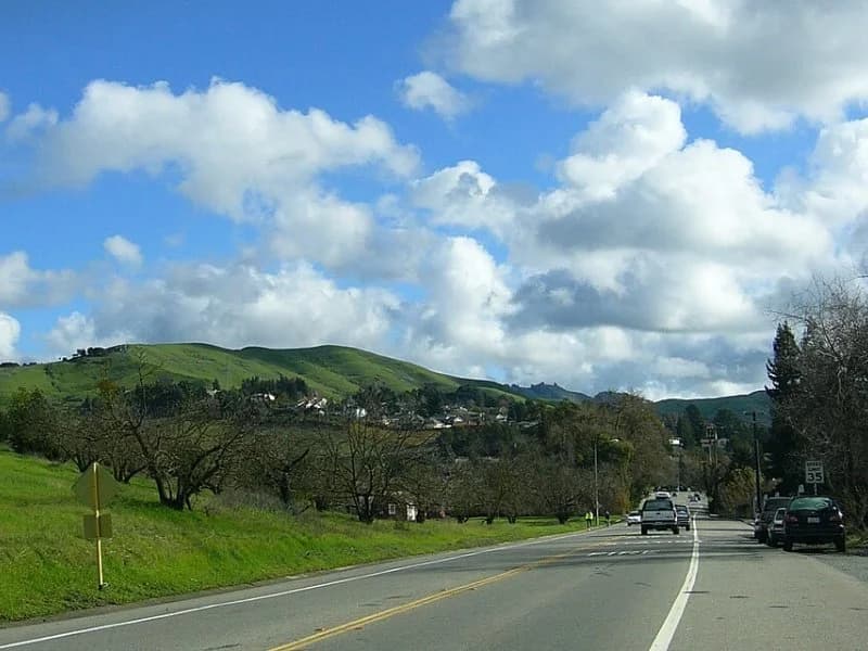 Why homeowners choose window replacement in Moraga