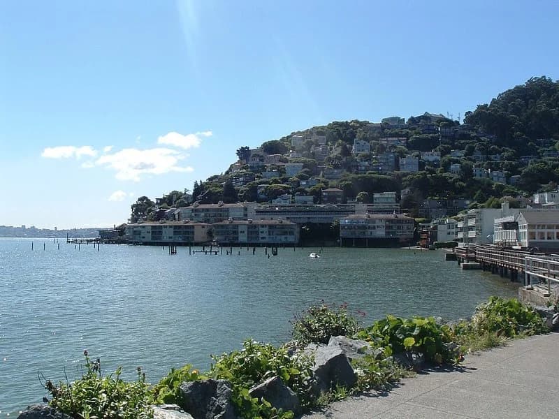 Why homeowners choose window replacement in Sausalito